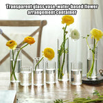 vase verre transparent moderne plantes hydroponiques décoration chambre fleurs eau