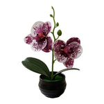 Orchidée artificielle taches violets feuilles vertes pot noir décoration intérieure moderne chambre salon