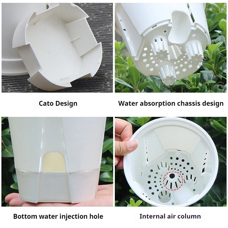 pots plantes auto arrosants transparents moderne blanc plateau d'eau