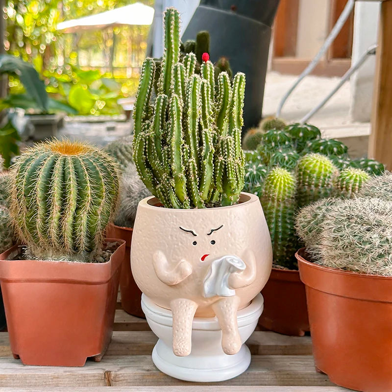 pot fleurs résine forme toilette cactus plante verte dessin animé humoristique original decoration maison