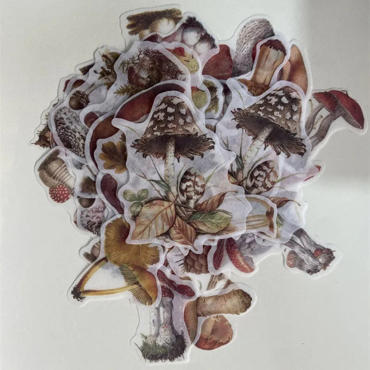autocollants decoration marron beige rouge vert blanc noir champignons feuilles scrapbooking diys enfants album