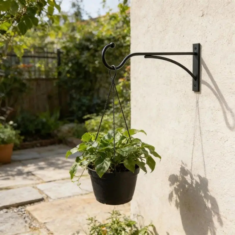 support mural plante suspendue noir métal rustique vis chevilles incluses
