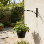 support mural plante suspendue noir métal rustique vis chevilles incluses