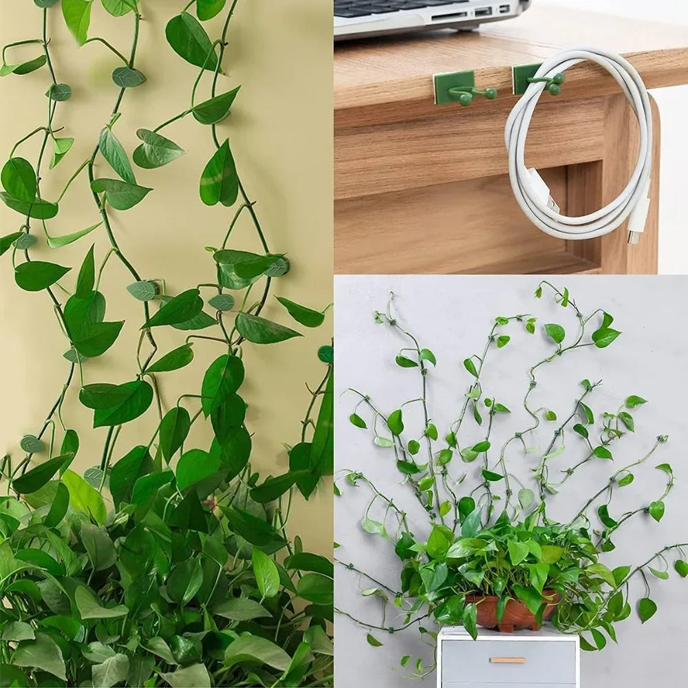 clips fixation murale plantes grimpantes support jardin vert motif feuilles adhésif invisible accessoires