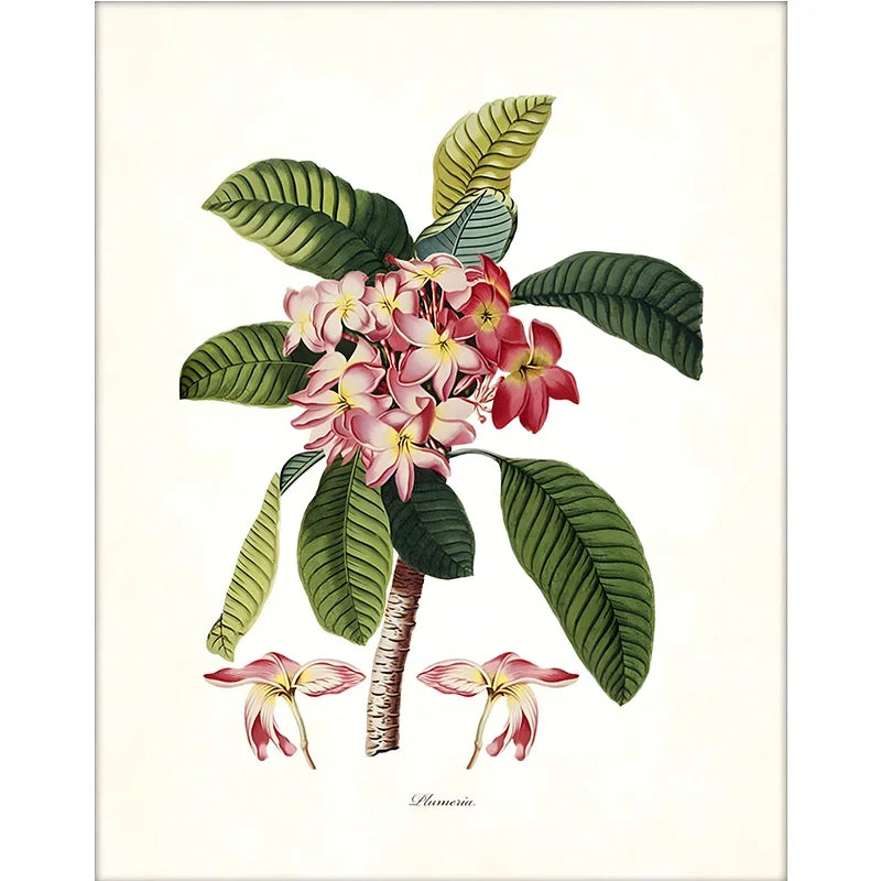 affiche botanique classique plantes tropicales illustration verte jaune blanche sans cadre doré maison décoration