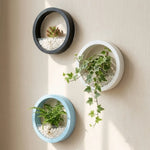 pots plante hydroponique mural noir blanc rose bleu moderne minimaliste fixation murale