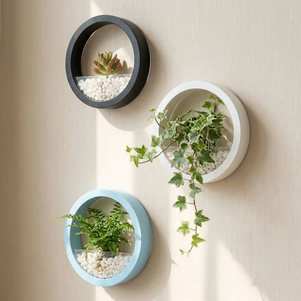 pots plante hydroponique mural noir blanc rose bleu moderne minimaliste fixation murale