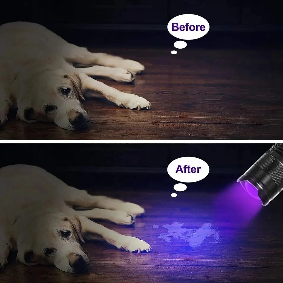 lampe torche uv portative 365nm 395nm zoomable étanche animaux scorpions billets fluorescence