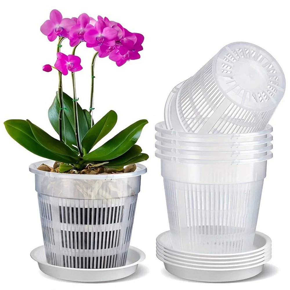 pots plantes transparents grille moderne orchidées fleurs blanches soucoupes drainage 11cm 14cm 16cm 19cm