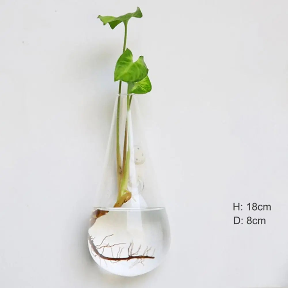 vase transparent moderne verre plante racines intérieur décoration hydroponique fleur