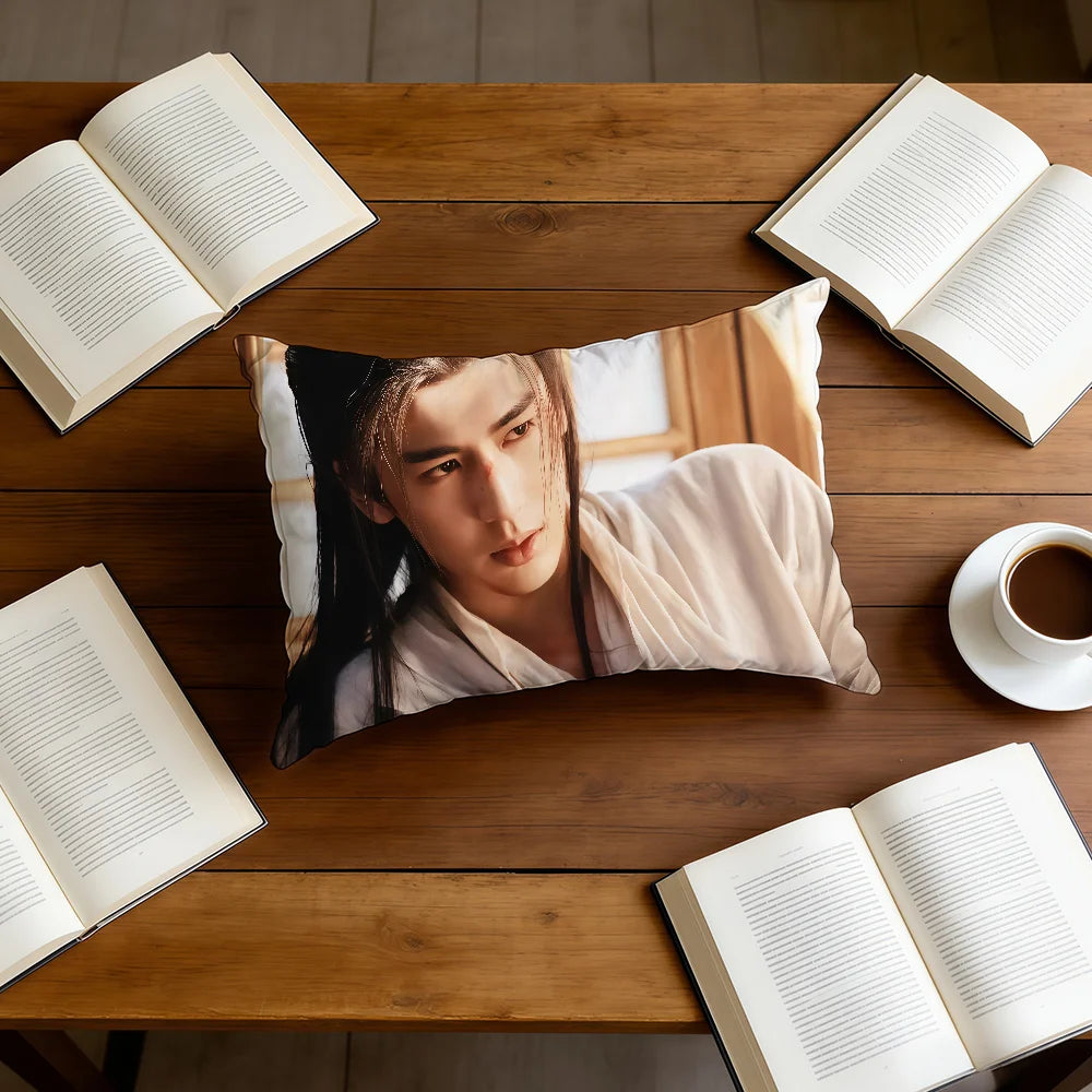 housse coussin imprimée polyester blanc personnage moderne 19x30in 16x24in 20x28in double face eyelets lit