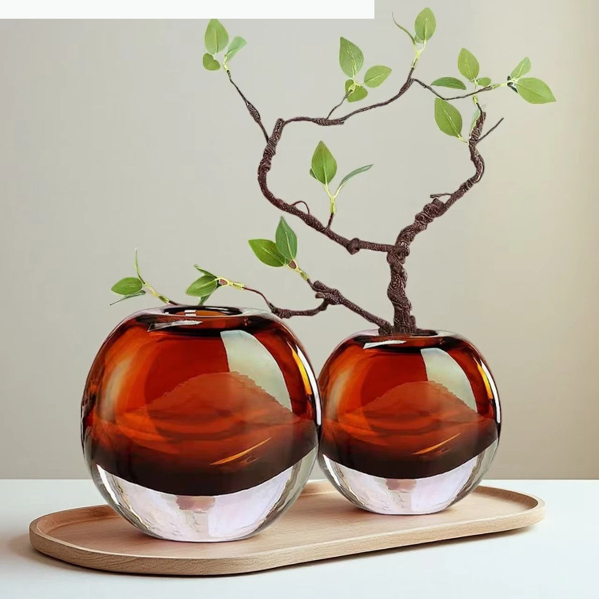 vases verre moderne marron clair transparent décoration intérieure hydroponie terrarium fleurs minimaliste maison