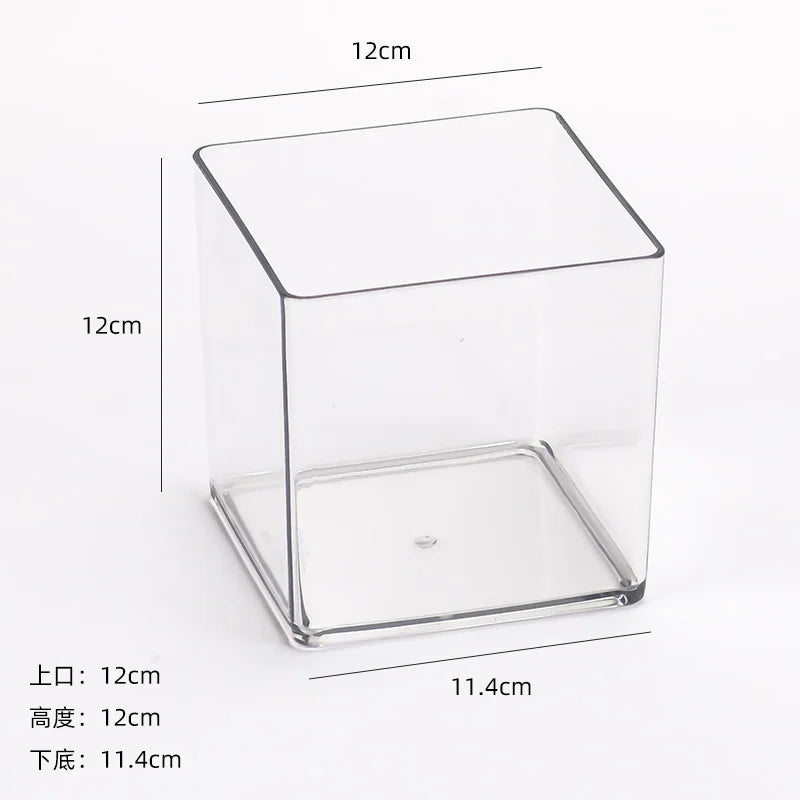 cube transparent moderne vase hydroponie plante verte sans motif minimaliste récipient acrylique