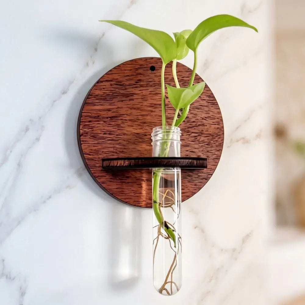 support mural bois moderne vase transparent plante verte étagère mur minimaliste fixations