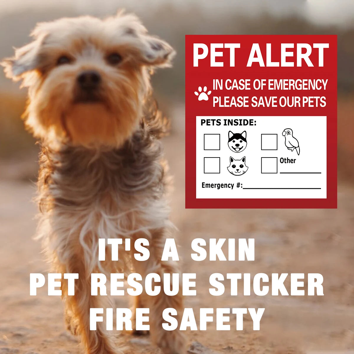 autocollants urgence animaux compagnie chiens chats oiseaux pompe incendie numéro d'urgence graphique informatif stickers