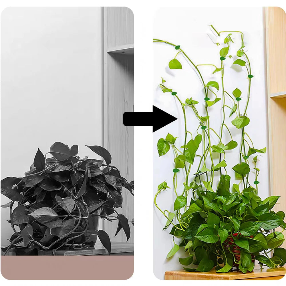 clips plantes autoadhésifs forme feuilles vert moderne pack 100 clips