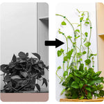 clips plantes autoadhésifs forme feuilles vert moderne pack 100 clips