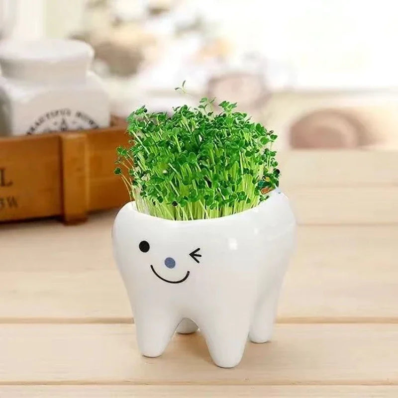 pots céramique porcelaine forme dents plante verte expression faciale decoration mignonne originale