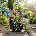 pots fleurs forme poule motifs pois noirs succulentes géraniums lavande rustiqueextérieur jardin