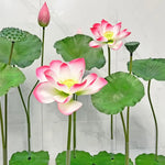 fleur artificielle lotus tige longue décoration intérieure vert rose blanc naturel détaillé Pods Feuilles