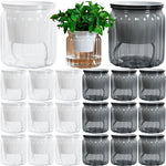 pot plante moderne transparent rayures vertes fleur intérieure minimaliste