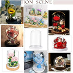 cloches verre transparentes moderne base bois blanc antipoussiere boite exposition 20cm diametre