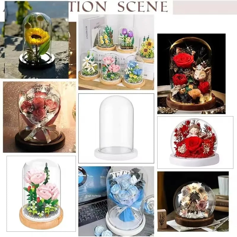 cloches verre transparentes moderne base bois blanc antipoussiere boite exposition 20cm diametre