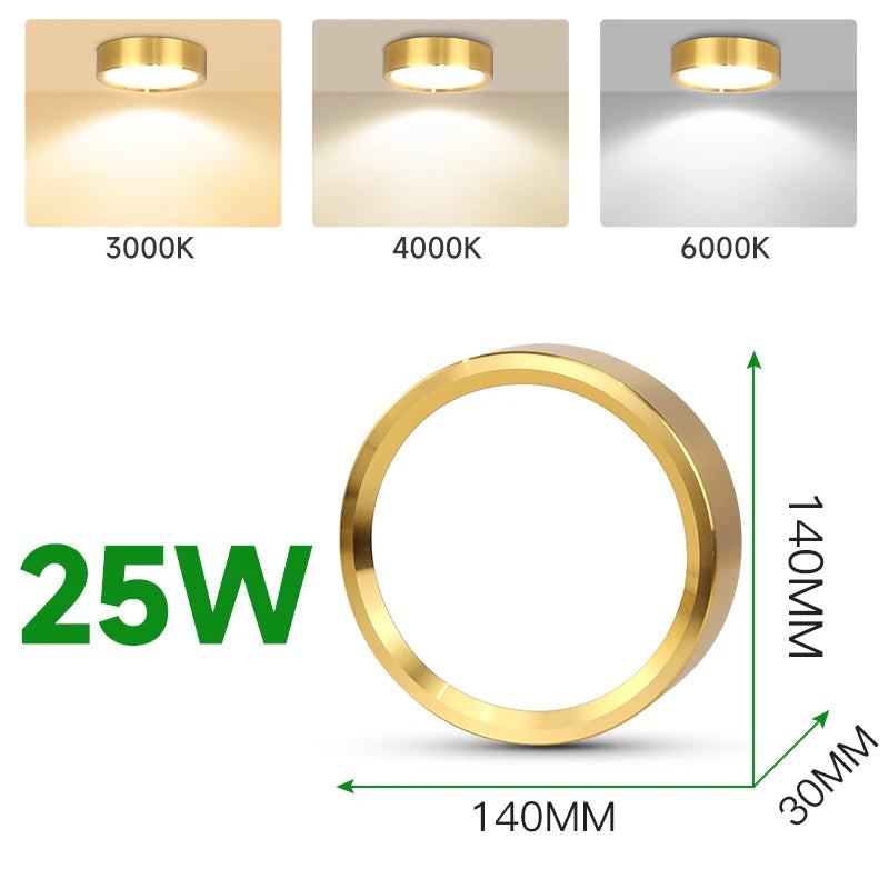 Spot LED Or Moderne Surface Montée Plafonnier 5W 10W 15W 25W Couleurs Changeables