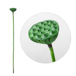 fleur artificielle lotus tige longue décoration intérieure vert rose blanc naturel détaillé Pods Feuilles