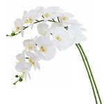 décoration intérieure orchidées artificielles blanc rose modernes 69cm hauteur anniversaire mariage