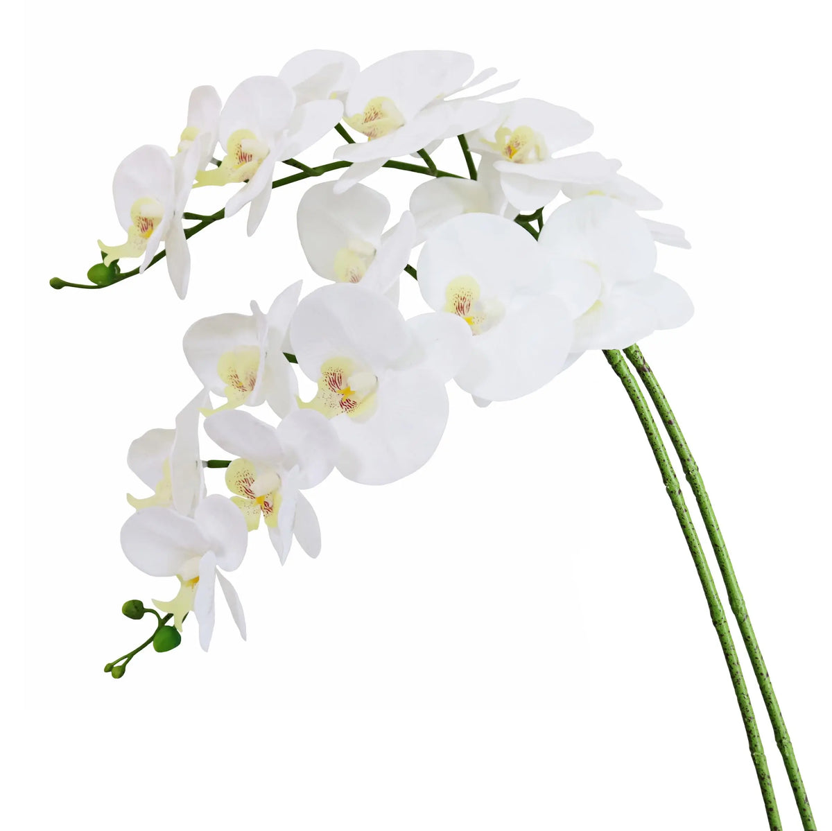 décoration intérieure orchidées artificielles blanc rose modernes 69cm hauteur anniversaire mariage