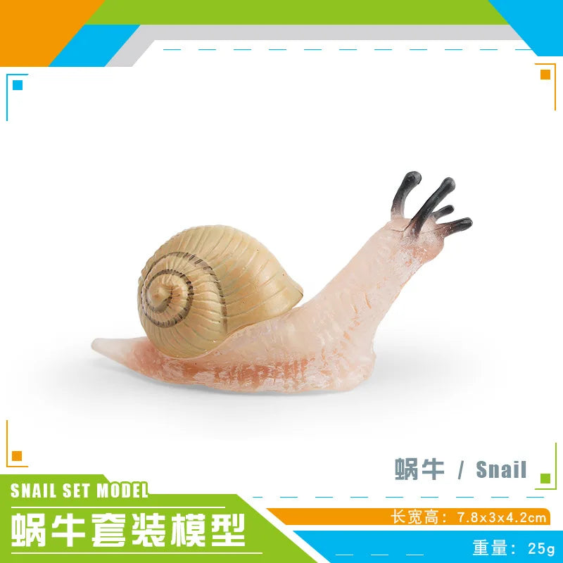 décoration miniature escargot coquille rayées réaliste couleur beige marron orange noir