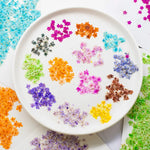 fleurs séchées naturelles bleu vert orange rose violet jaunes fleurs simples décoration diy bijoux