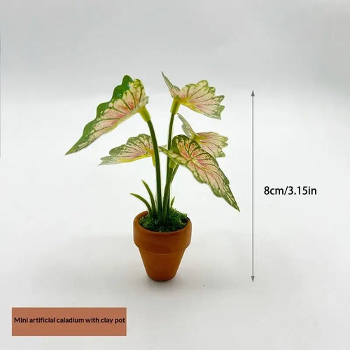 plantes artificielles vertes feuilles taches blanches terre cuite decoration miniature