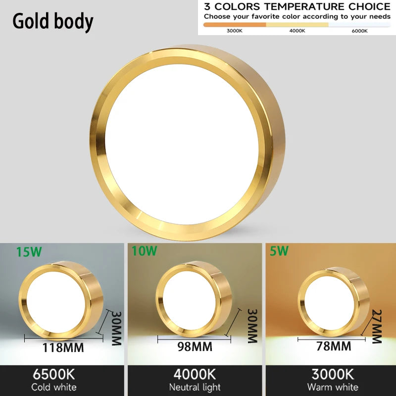 Spot LED Or Moderne Surface Montée Plafonnier 5W 10W 15W 25W Couleurs Changeables