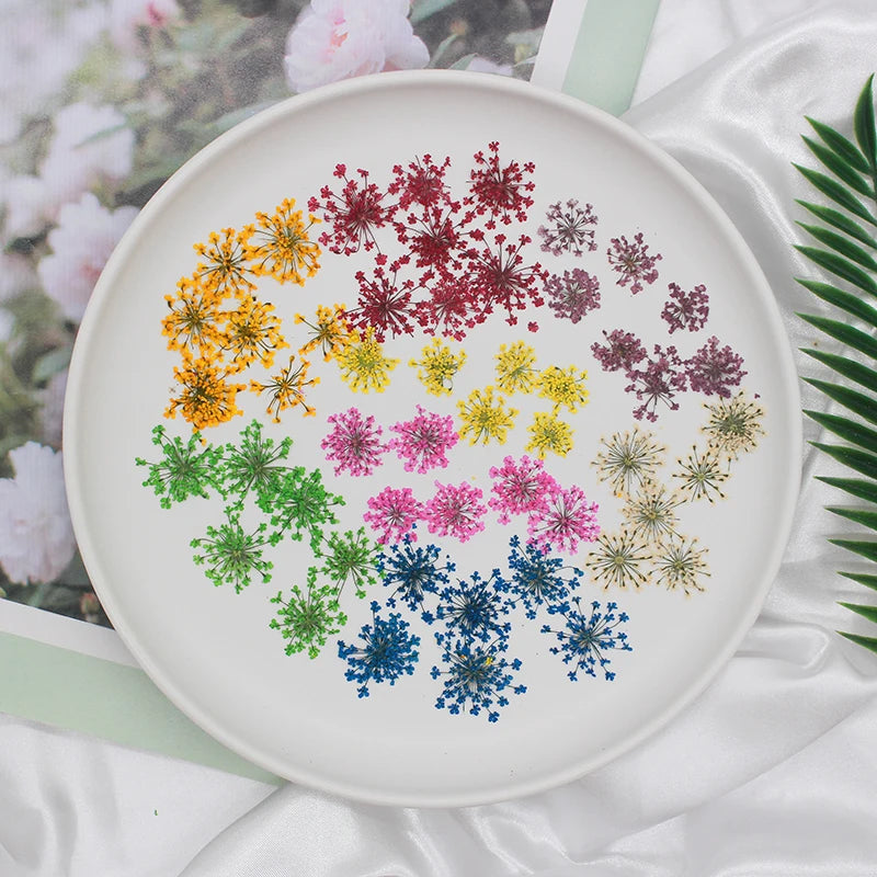 fleurs séchées multicolores bouquet naturel artisanal décoration maison anniversaire baby shower pendaison crémaillère