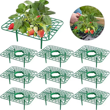 supports vert jardinage plantes fraises structure grille plastique texturé utilitaire fixations sol pack plantation
