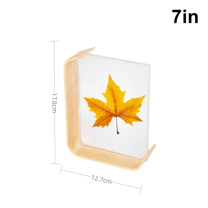 cadre photo acrylique moderne feuilles automne minimaliste or noir rouge jaune