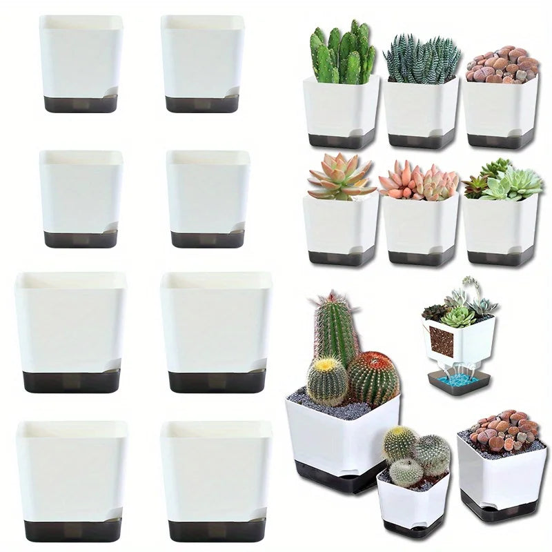 pots fleurs succulentes cactus blanc noir moderne mini jardinière plantes vert rouge violet gris
