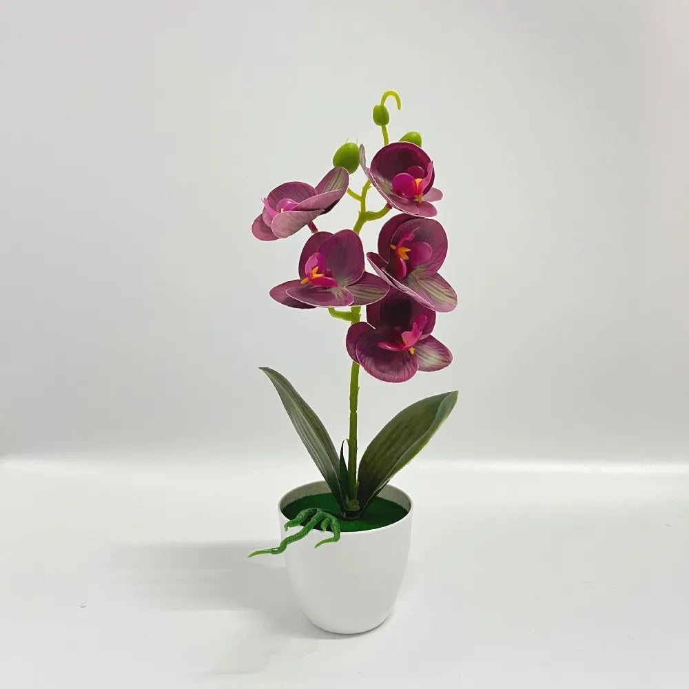 Orchidée artificielle rose pot blanc fleurs blanches intérieur décoration moderne salon événement