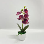 Orchidée artificielle rose pot blanc fleurs blanches intérieur décoration moderne salon événement