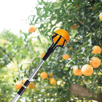 pince fruits moderne fixée adhésive noire pièce outil main acier inoxydable grille dimensions