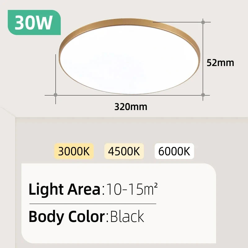Lampe LED moderne 20W 30W blanc ultra mince éclairage intérieur