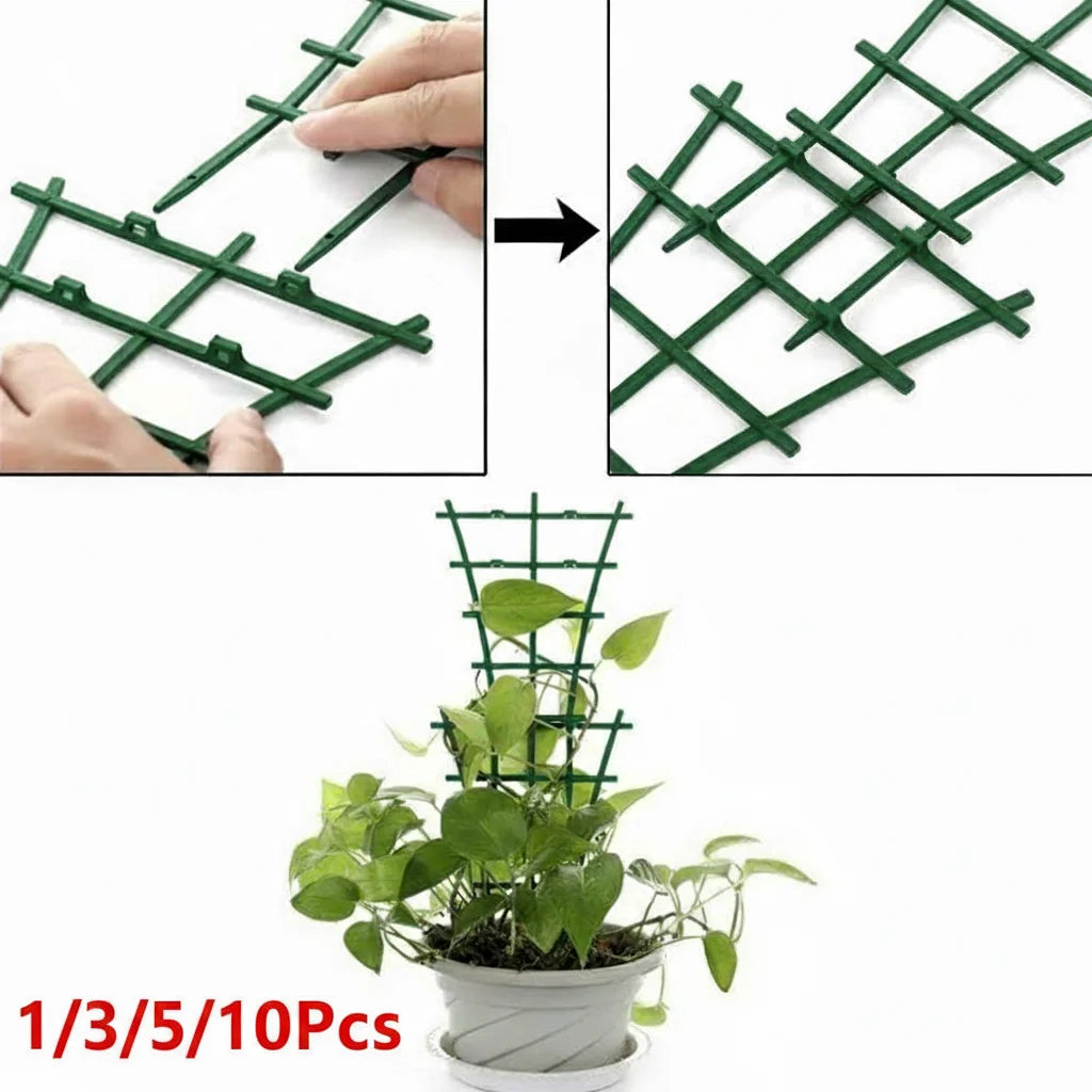 supports plantes grimpantes vert grille moderne adhésif jardin extérieur décoration fixations