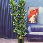 plante artificielle branche ficus verte moderne extérieur intérieur décoration maison jardin exposition sol