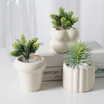 Pot de fleurs européen sur bureau avec plante verte