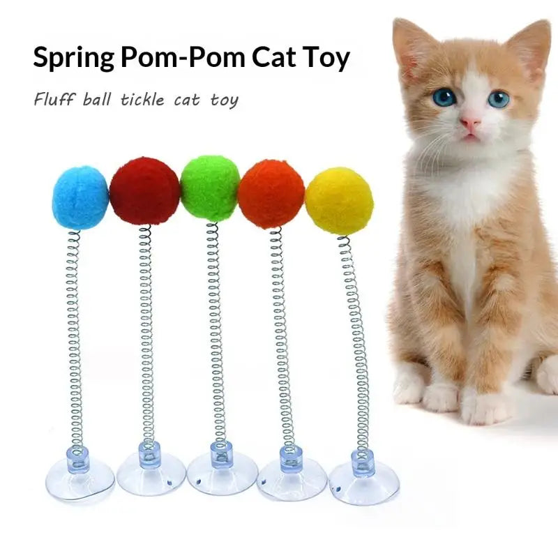 jouets chat pompons colorés base transparente ventouse griffe peluche moderne variété couleurs