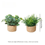 décoration intérieure pot plante artificielle miniature feuilles vert texturées pot tressé rustique