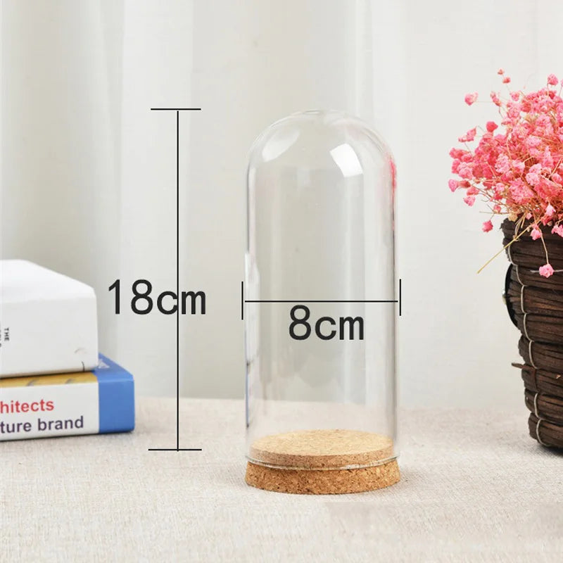 cloches verre liège décoration table transparent moderne fleurs séchées succulentes 18cm 8cm