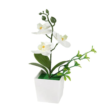 décoration intérieure orchidée artificielle pot blanc fleurs simples feuilles vertes moderne